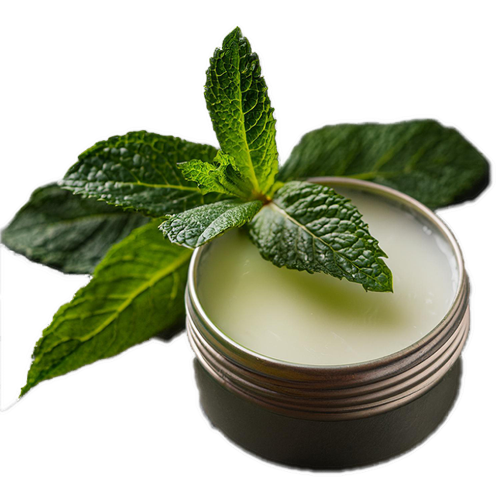 Best Lip Balms in Pakistan - pmd GROUP